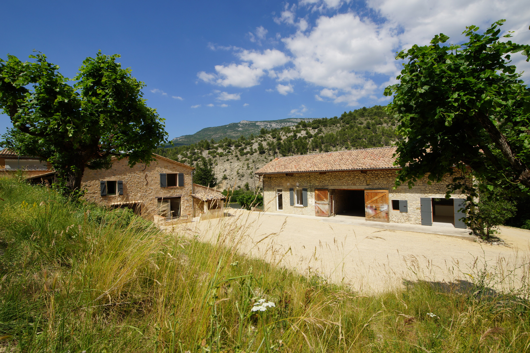 vente REGION BUIS LES BARONNIES / PROPRIETE EN PIERRES / TERRAIN 20HA