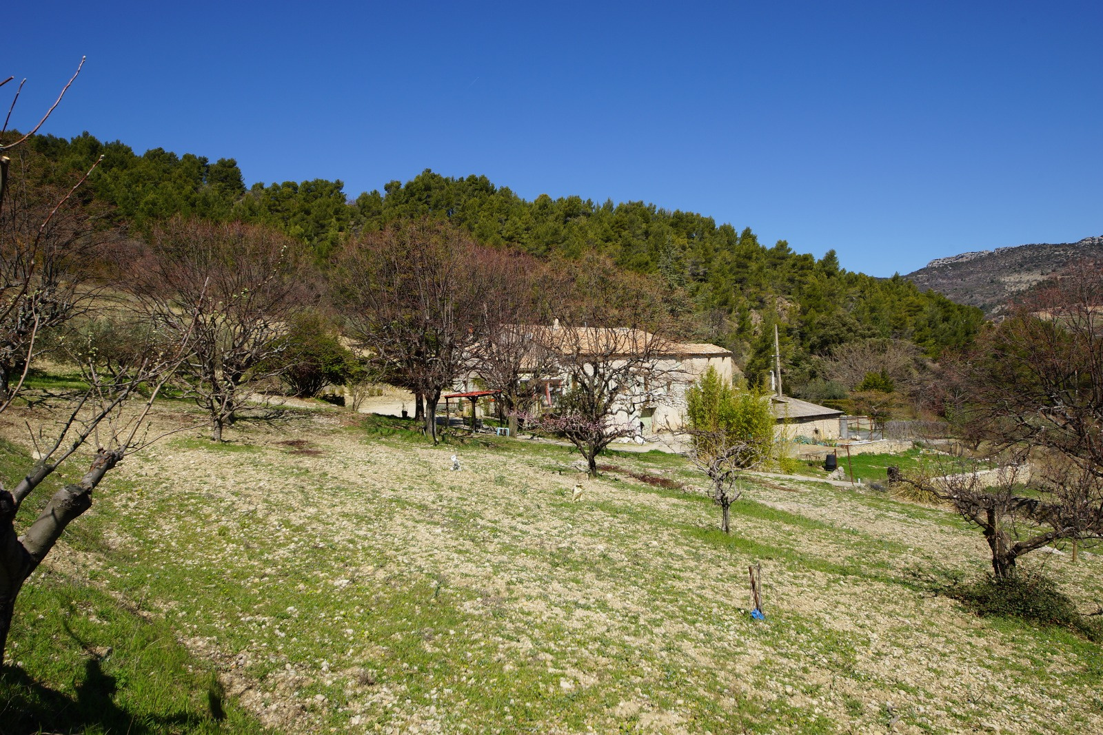 vente BUIS LES BARONNIES / EXCLUSIVITE / FERME A RENOVER 400M²