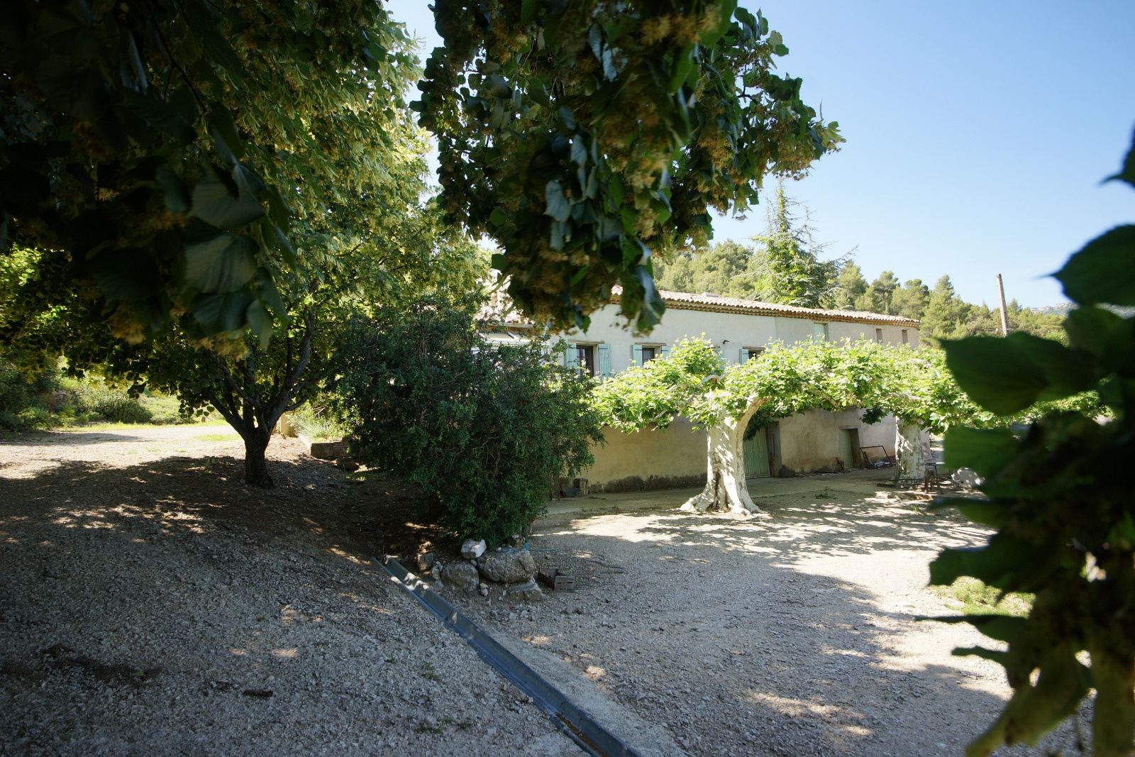 vente BUIS LES BARONNIES / EXCLUSIVITE / FERME A RENOVER 400M² / TERRAIN 60HA